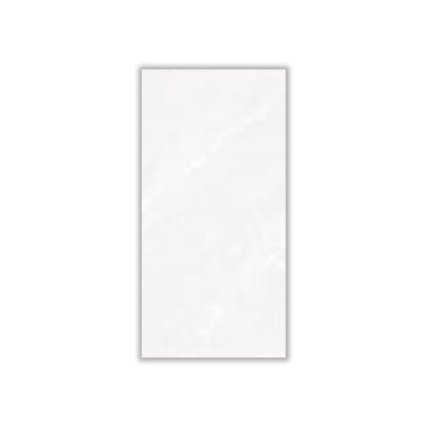 Alma Light - 30x60 cm, Whitebody, 9