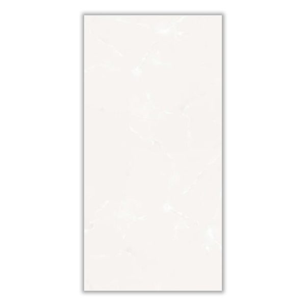 Santoz - 60x120 cm, Porcelain, 12
