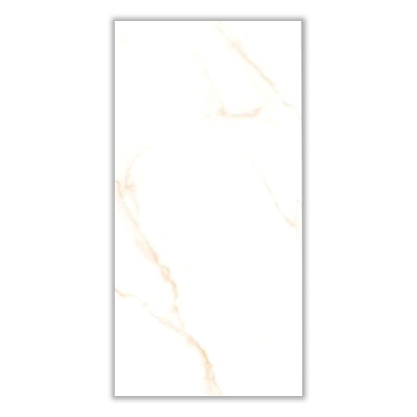 FWZ603 - 60x120 cm, Whitebody