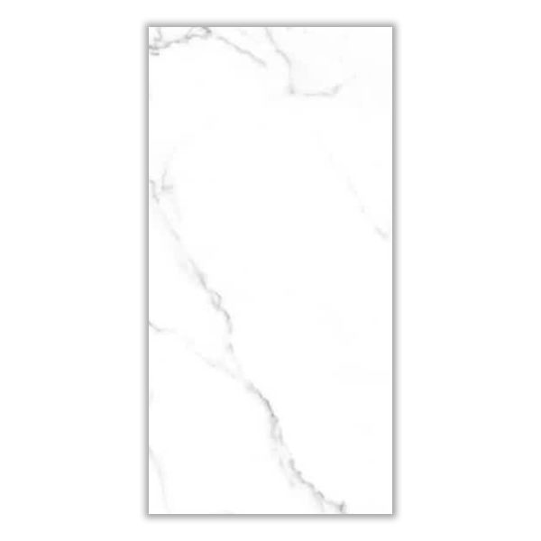 FWZ606 - 60x120 cm, Whitebody
