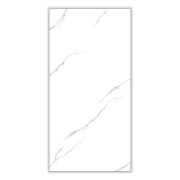 Shezni - 60x120 cm, Porcelain