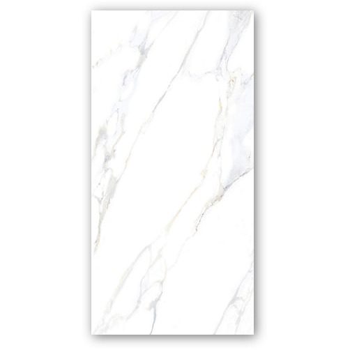 Leon - 60x120 cm, Porcelain, 9.5