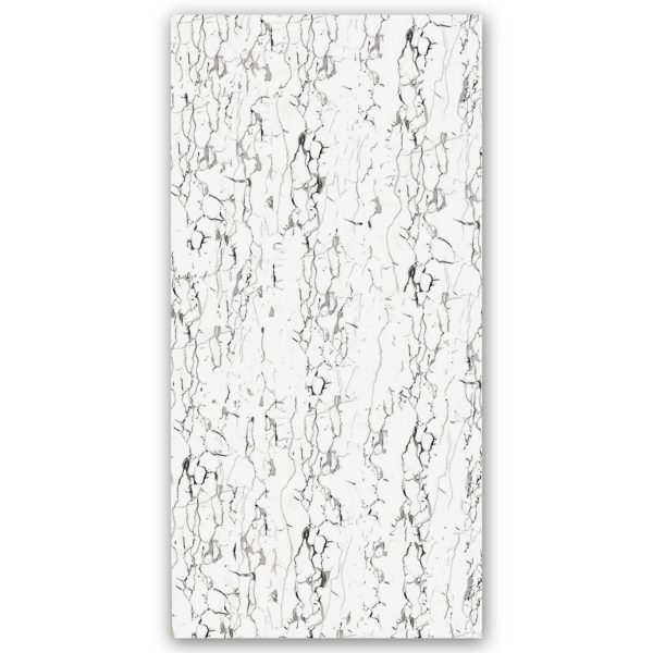 ANJELA - 60x120 cm, Whitebody, 11