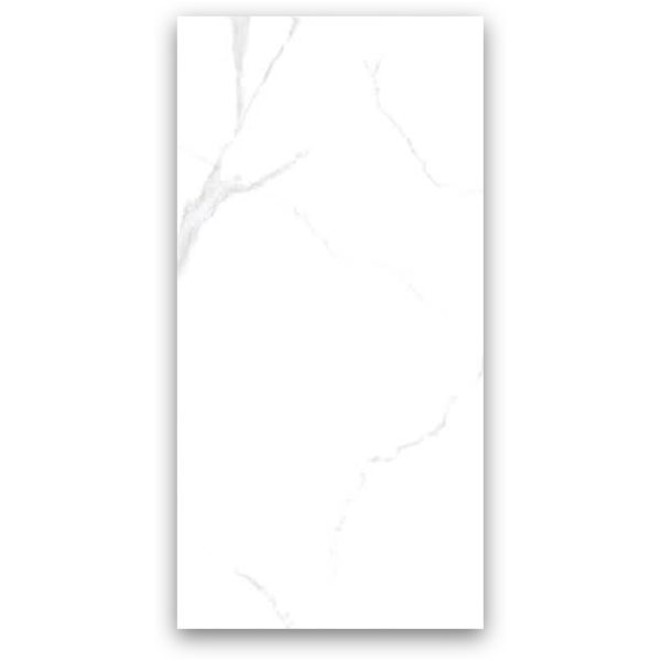 Ameriya3 - 60x120 cm, Whitebody, 11